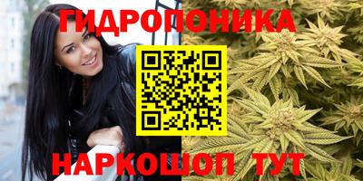 ECSTASY Краснодар