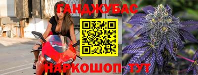 СК Краснознаменск