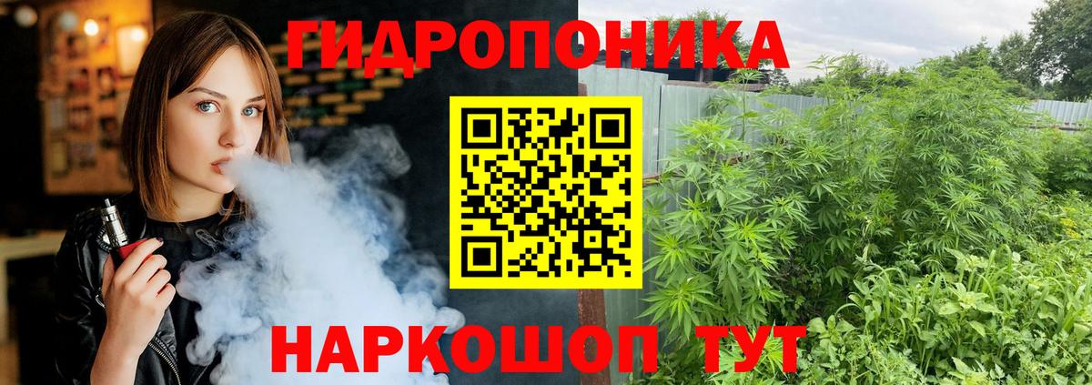 Бошки марихуана Amnesia Будённовск
